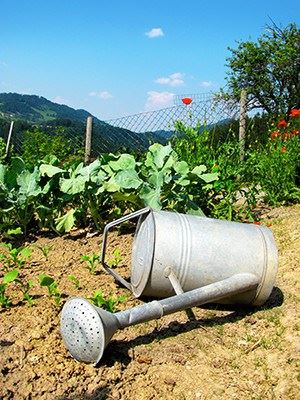 Watering Can