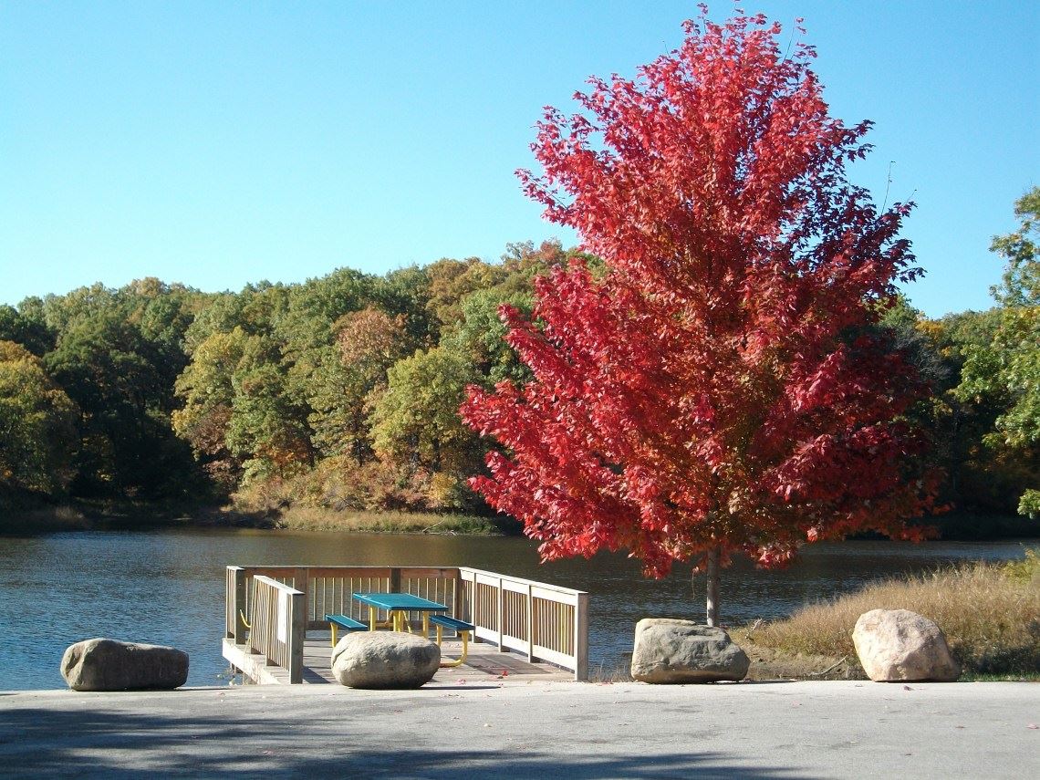 Water Works Lake - Red tree